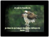 LOGO VIDEO JAMAIS CONTENTE