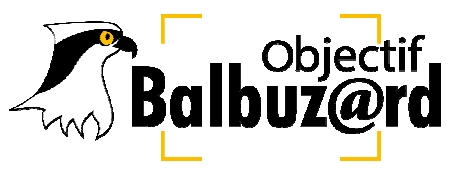 logo objectif balbuzards